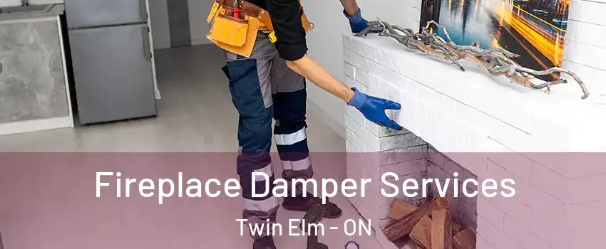  Fireplace Damper Services Twin Elm - ON