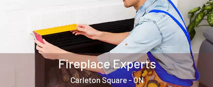  Fireplace Experts Carleton Square - ON