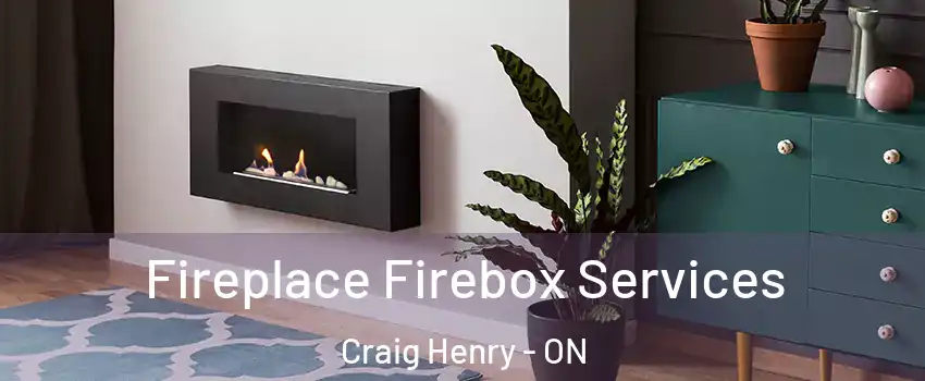  Fireplace Firebox Services Craig Henry - ON