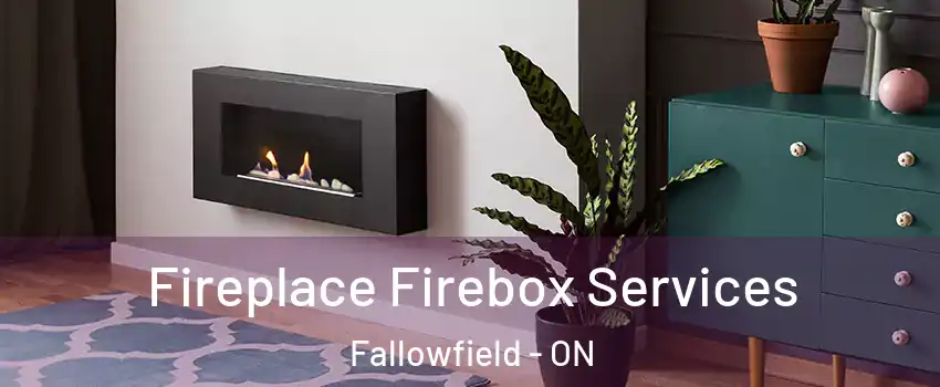 Fireplace Firebox Services Fallowfield - ON