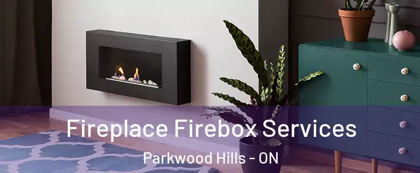  Fireplace Firebox Services Parkwood Hills - ON