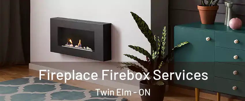  Fireplace Firebox Services Twin Elm - ON