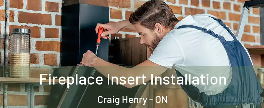  Fireplace Insert Installation Craig Henry - ON