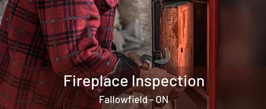  Fireplace Inspection Fallowfield - ON