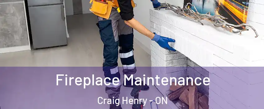  Fireplace Maintenance Craig Henry - ON