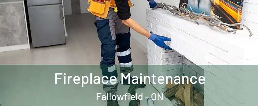  Fireplace Maintenance Fallowfield - ON