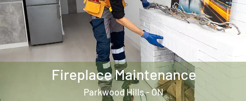  Fireplace Maintenance Parkwood Hills - ON