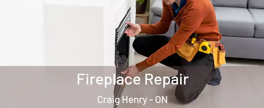  Fireplace Repair Craig Henry - ON