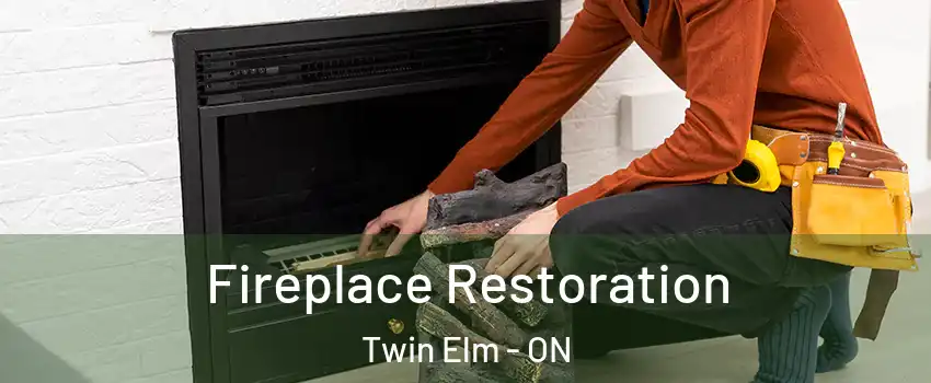  Fireplace Restoration Twin Elm - ON
