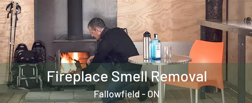  Fireplace Smell Removal Fallowfield - ON