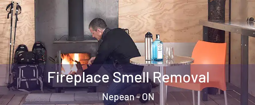  Fireplace Smell Removal Nepean - ON