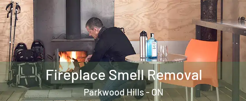  Fireplace Smell Removal Parkwood Hills - ON