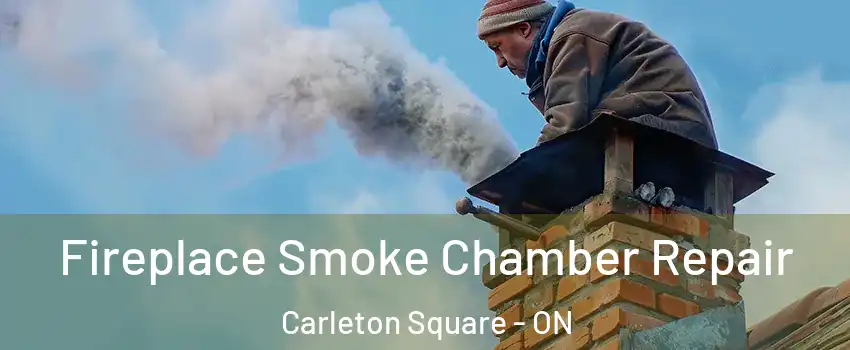  Fireplace Smoke Chamber Repair Carleton Square - ON