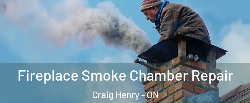  Fireplace Smoke Chamber Repair Craig Henry - ON
