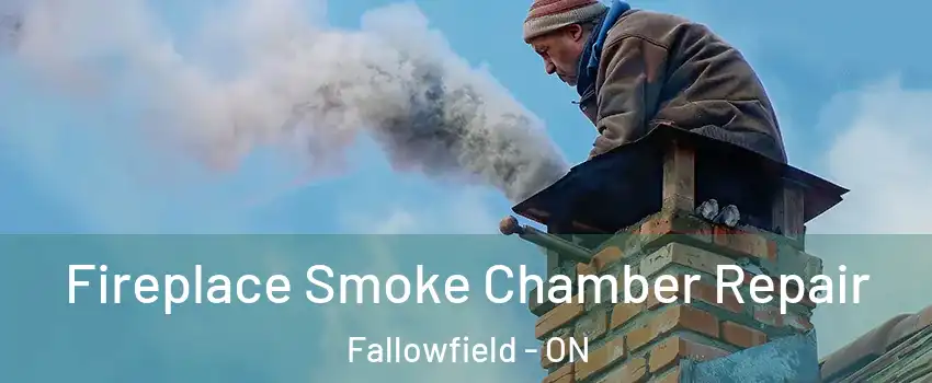  Fireplace Smoke Chamber Repair Fallowfield - ON