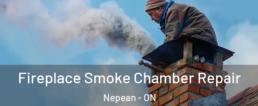  Fireplace Smoke Chamber Repair Nepean - ON