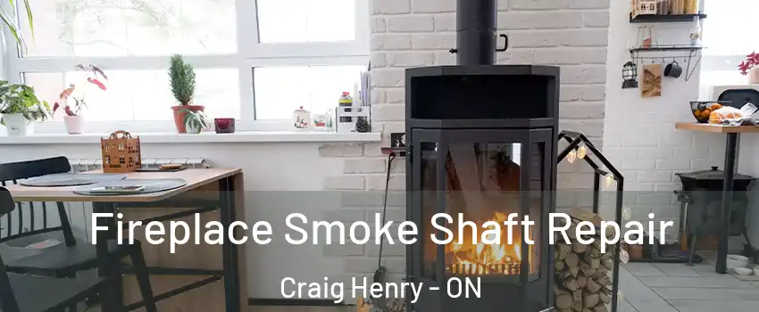  Fireplace Smoke Shaft Repair Craig Henry - ON