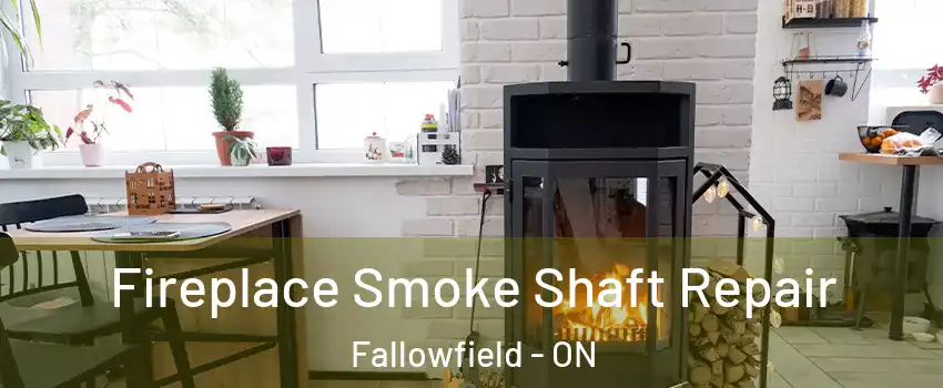  Fireplace Smoke Shaft Repair Fallowfield - ON