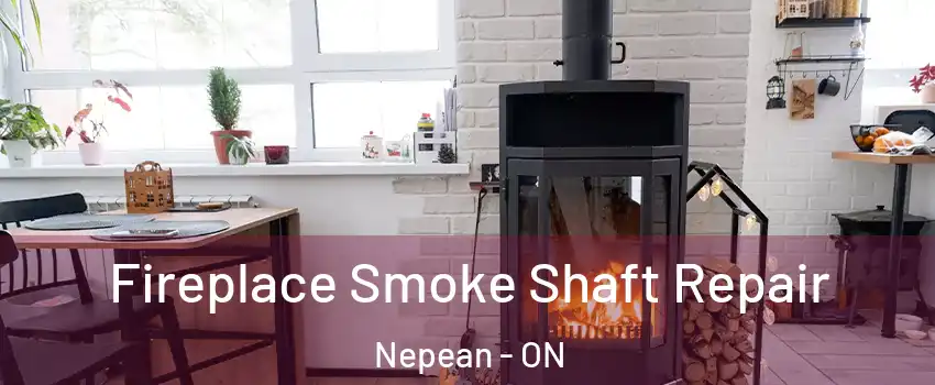  Fireplace Smoke Shaft Repair Nepean - ON