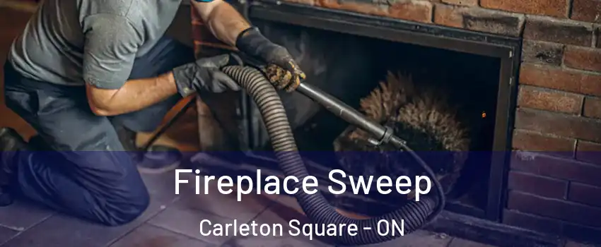  Fireplace Sweep Carleton Square - ON