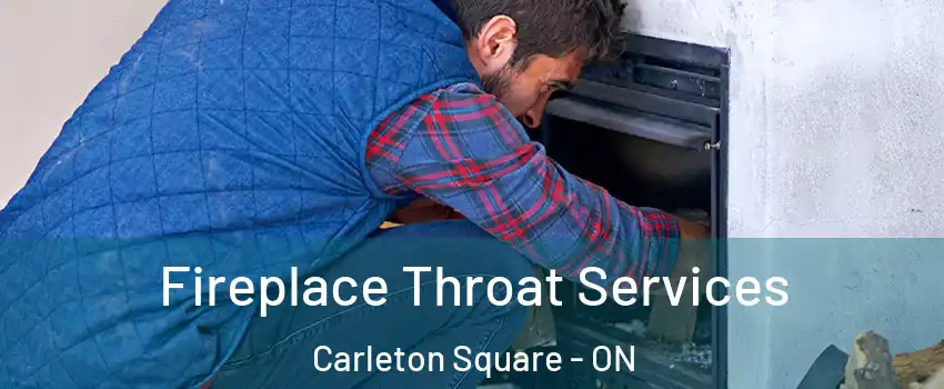  Fireplace Throat Services Carleton Square - ON
