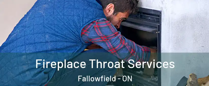  Fireplace Throat Services Fallowfield - ON