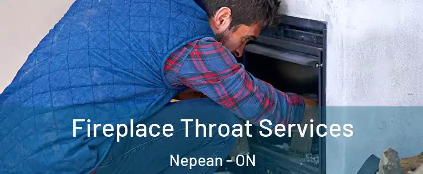  Fireplace Throat Services Nepean - ON