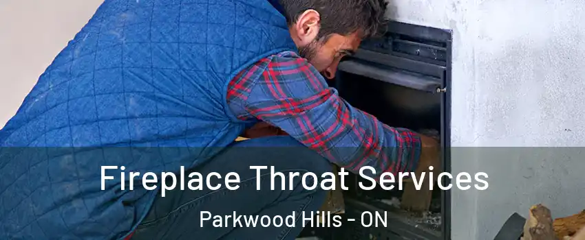  Fireplace Throat Services Parkwood Hills - ON