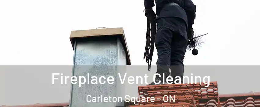  Fireplace Vent Cleaning Carleton Square - ON