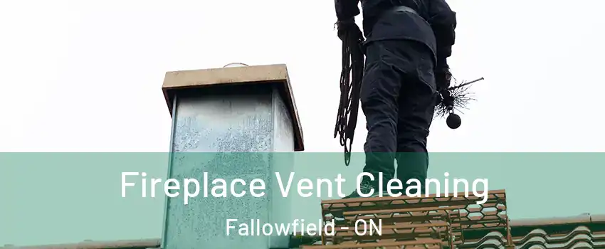  Fireplace Vent Cleaning Fallowfield - ON