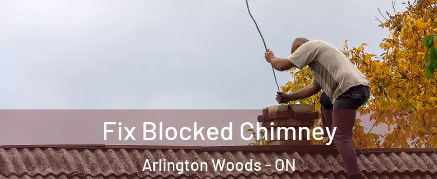  Fix Blocked Chimney Arlington Woods - ON
