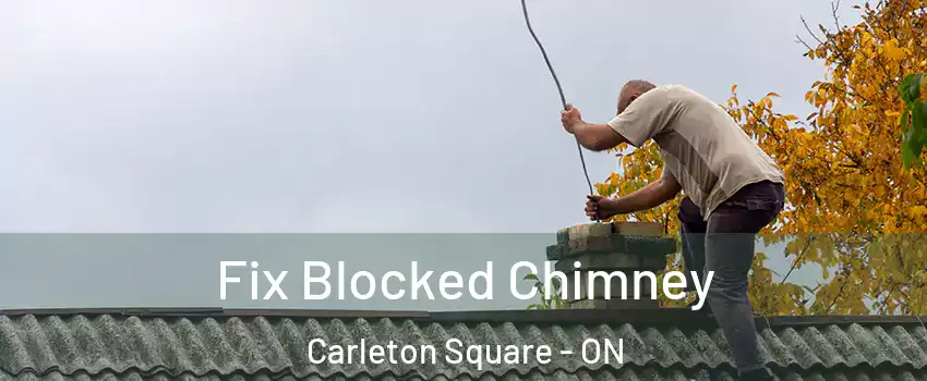  Fix Blocked Chimney Carleton Square - ON