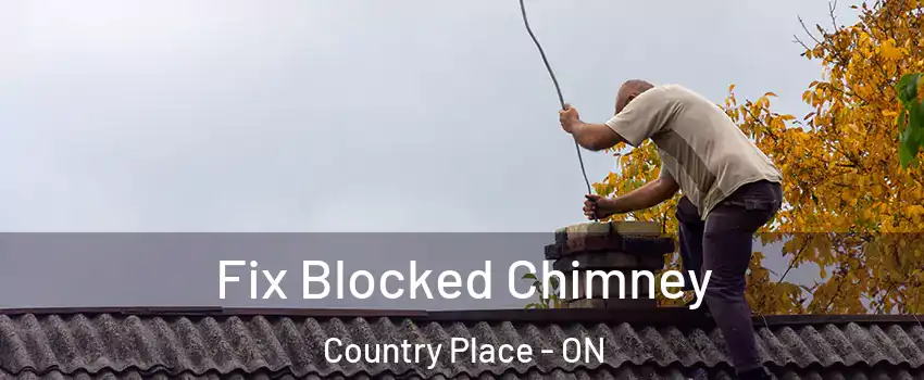  Fix Blocked Chimney Country Place - ON