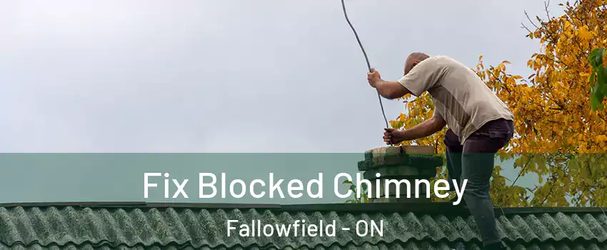  Fix Blocked Chimney Fallowfield - ON