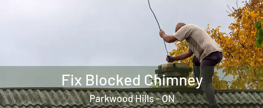  Fix Blocked Chimney Parkwood Hills - ON