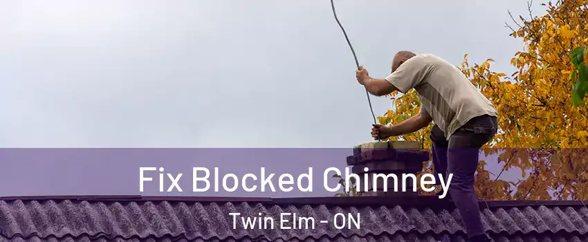  Fix Blocked Chimney Twin Elm - ON