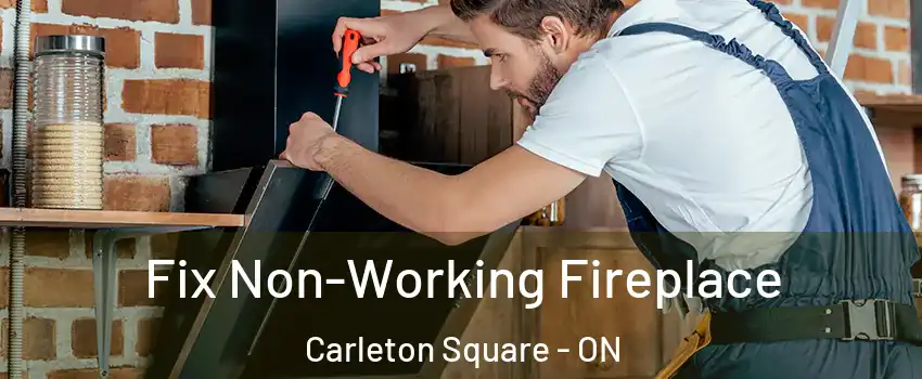  Fix Non-Working Fireplace Carleton Square - ON