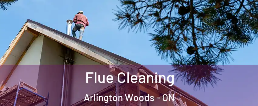  Flue Cleaning Arlington Woods - ON