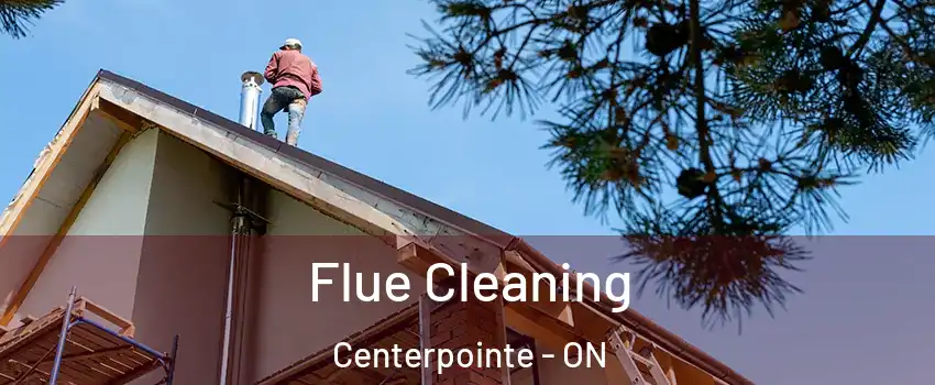  Flue Cleaning Centerpointe - ON