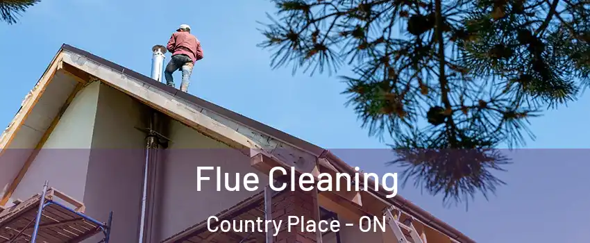  Flue Cleaning Country Place - ON