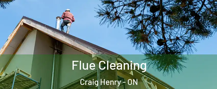  Flue Cleaning Craig Henry - ON