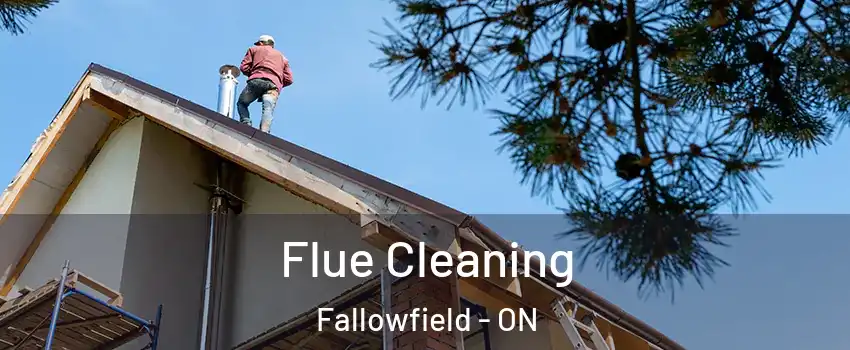  Flue Cleaning Fallowfield - ON