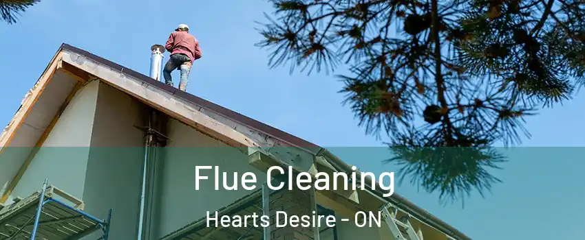  Flue Cleaning Hearts Desire - ON