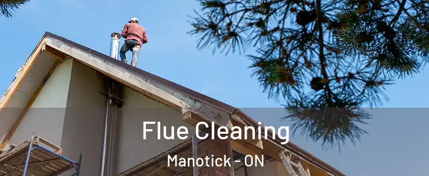  Flue Cleaning Manotick - ON