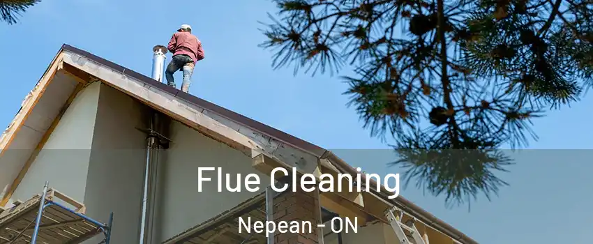  Flue Cleaning Nepean - ON