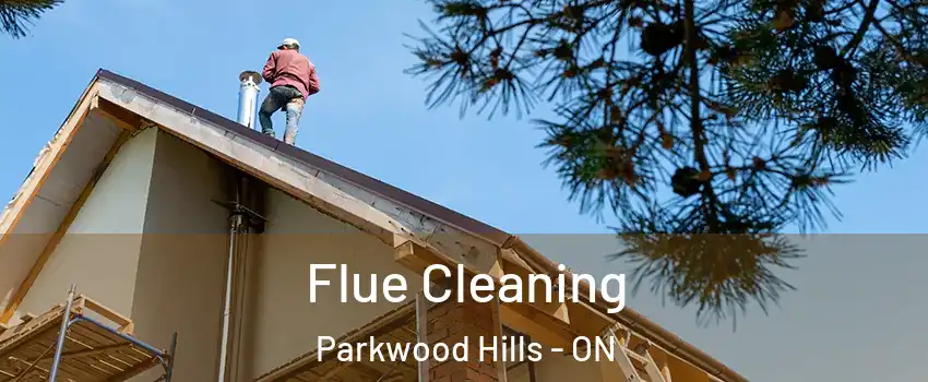  Flue Cleaning Parkwood Hills - ON