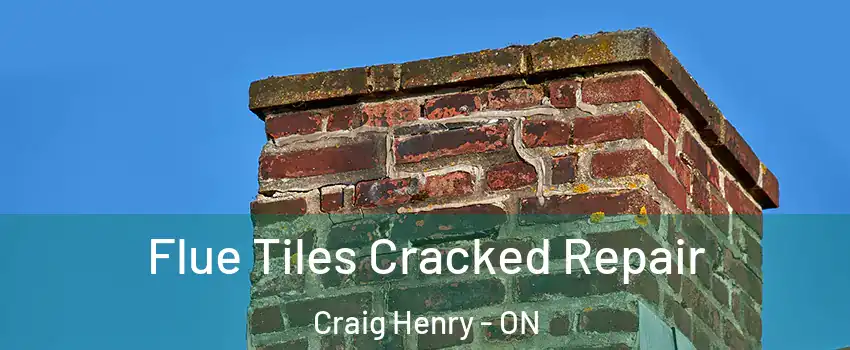  Flue Tiles Cracked Repair Craig Henry - ON
