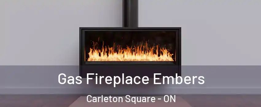  Gas Fireplace Embers Carleton Square - ON