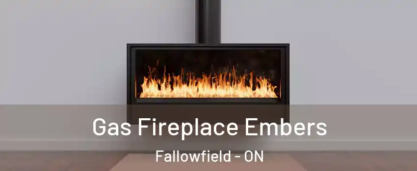  Gas Fireplace Embers Fallowfield - ON