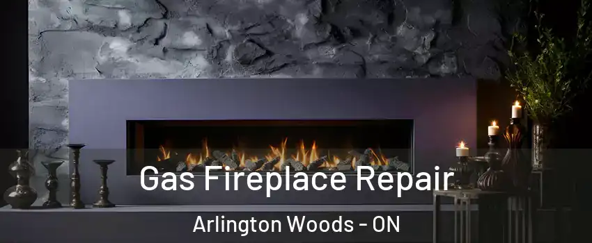  Gas Fireplace Repair Arlington Woods - ON